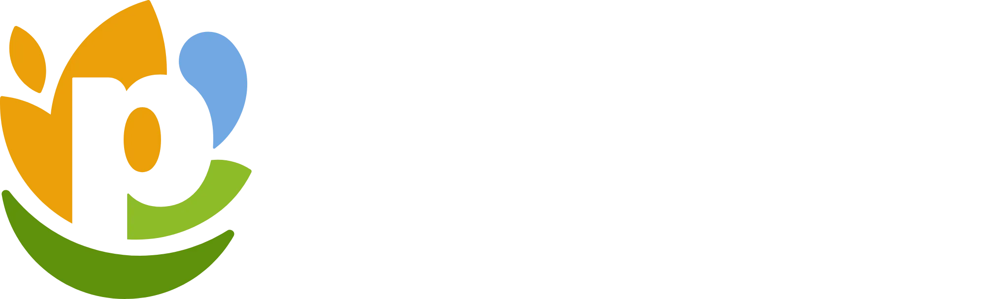 PepsiCo logo